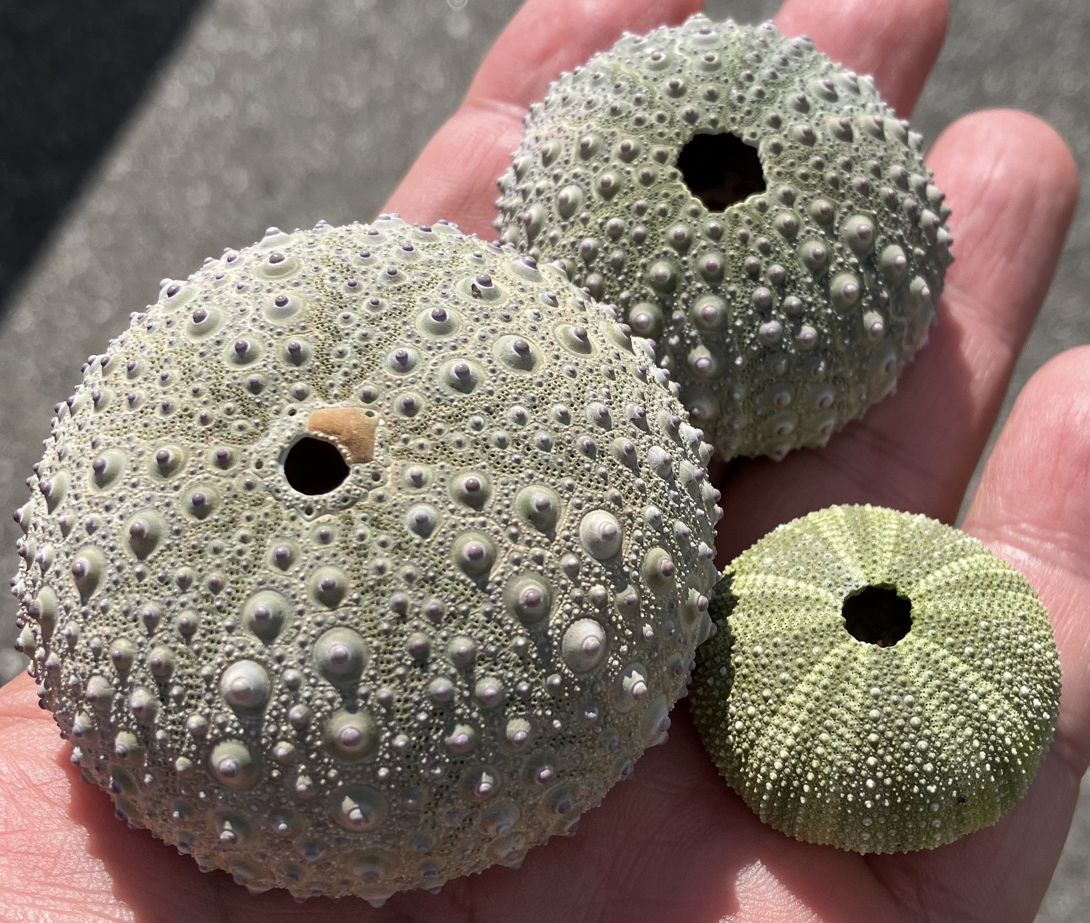 菊地研究室と防災・減災DX研究部門