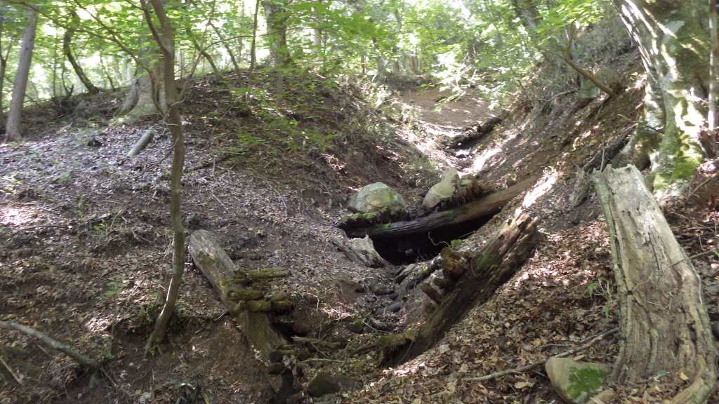 諏訪市内西山地域における土石流発生可能箇所の調査（2回実施）